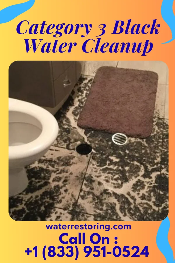 Category 3 Black Water Cleanup in Aiken, SC