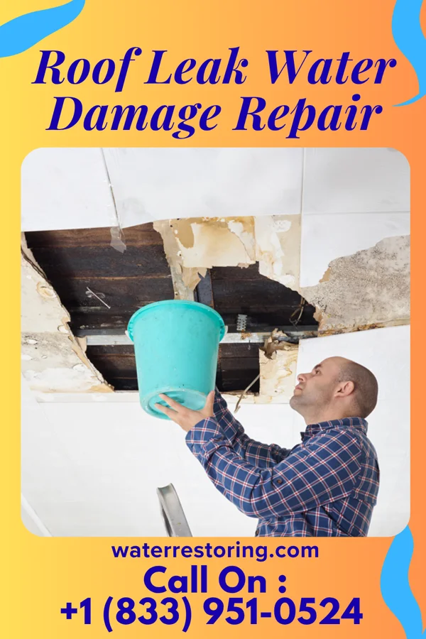Roof Leak Water Damage Repair in Aiken, SC